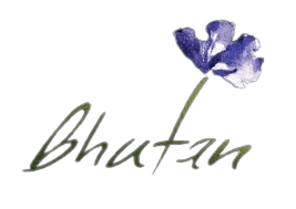 images 2 removebg preview