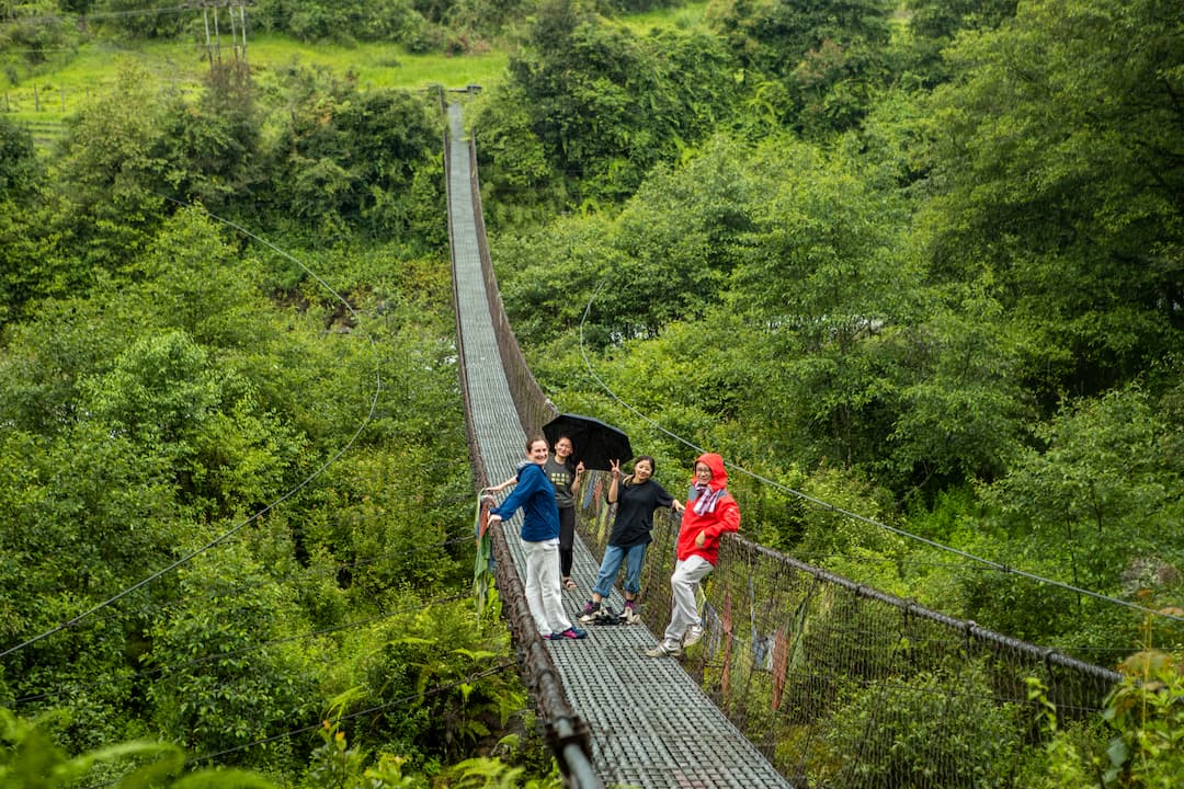 Travellers crossing a forest suspension bridge