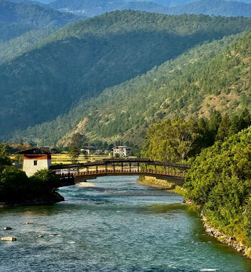 Adventure-and-nature bridge